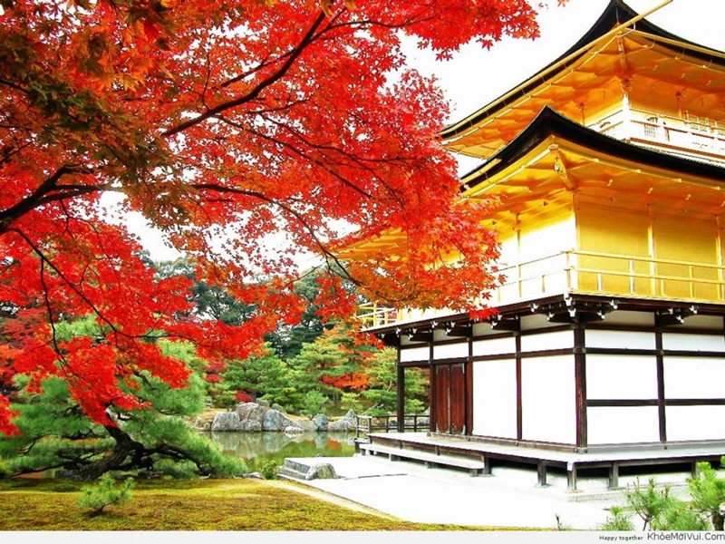 Đặt tour du lịch Nhật Bản tháng 11 khởi hành từ TPHCM