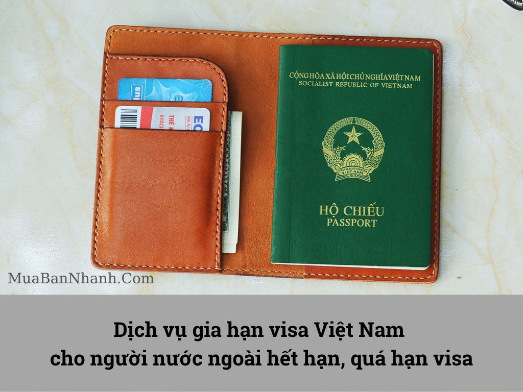 Dịch vụ gia hạn visa Việt Nam cho người nước ngoài hết hạn, quá hạn visa