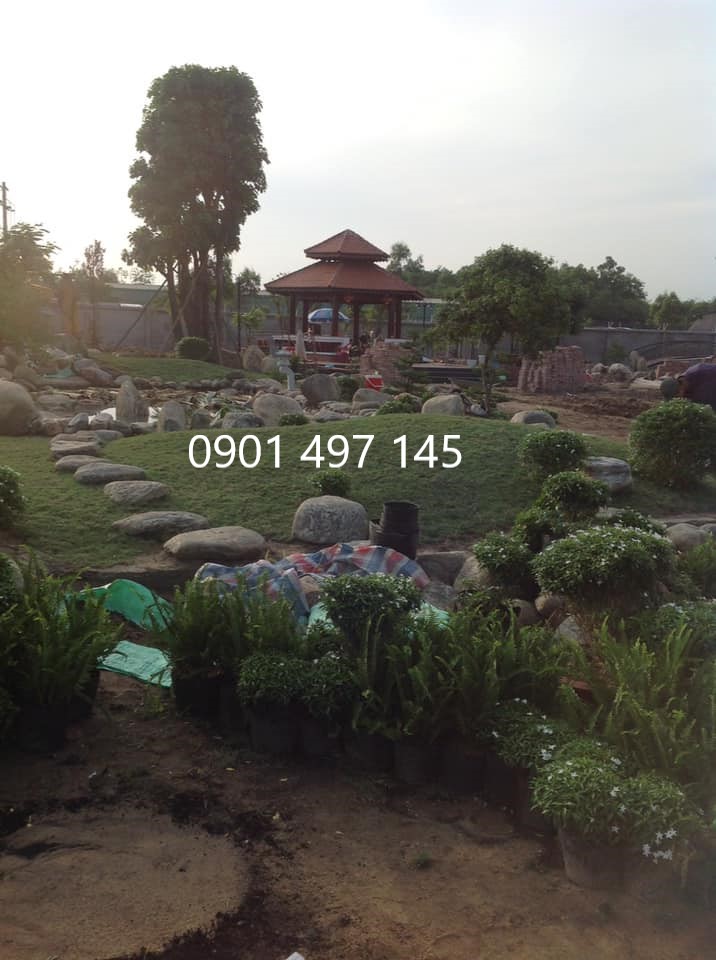 Thi công sân vườn, tiểu cảnh tại Bình Chánh, TP HCM