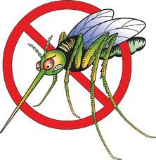 Dịch vụ phun muỗi hiệu quả tại các khu vực Hà Nội