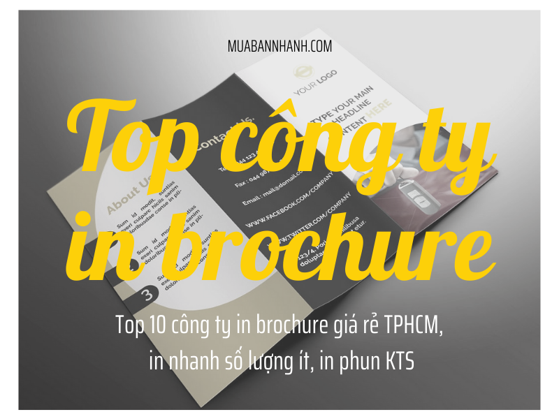 Top 10 công ty in brochure giá rẻ TPHCM, in nhanh số lượng ít, in phun KTS