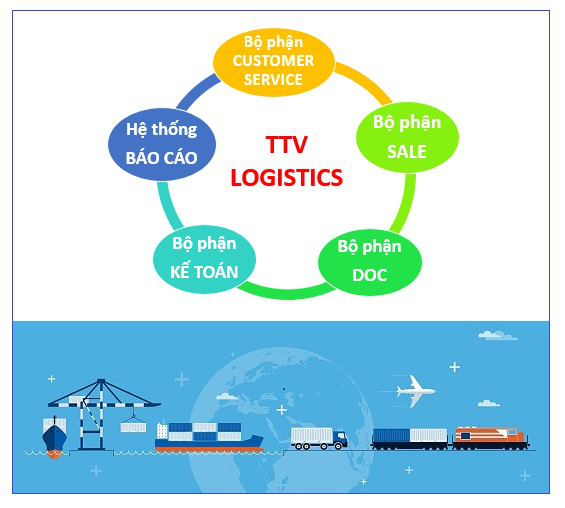 Tri Thức Việt – Phần mềm chuyên ngành Logistics