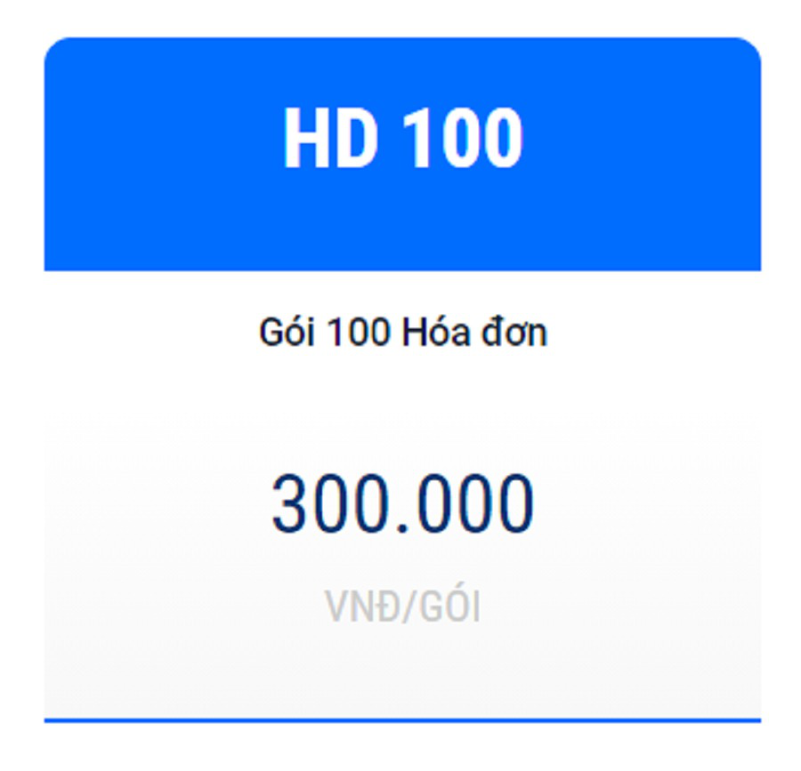 Hóa đơn điện tử chỉ 300.000đ - HD100