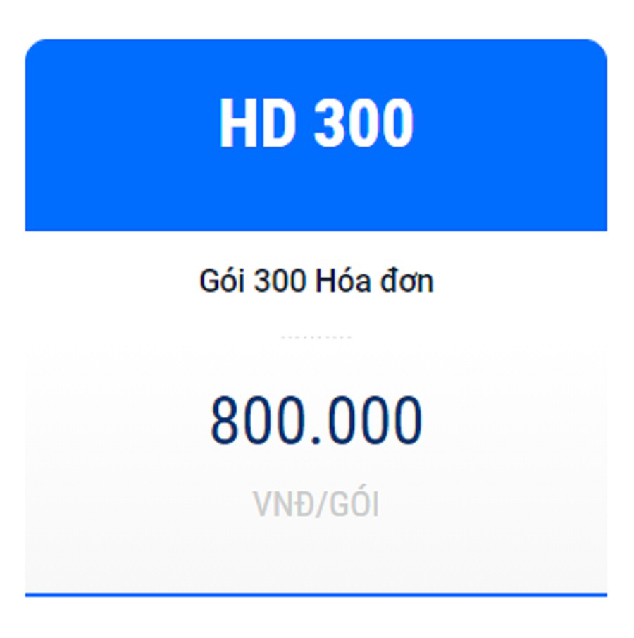 Hóa đơn điện tử HD300